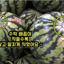 농부가 이미지