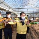 동계시장 이미지