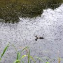 김포시 노인복지회관 이미지