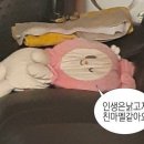 셉템버나인 이미지