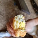 산들바람어린이집 | 장흥 정남진 편백숲 우드랜드 다녀왔답니다.