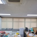 도봉초교 이미지