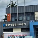 씨유 강원대동문점 | 2024 춘천 반려동물 동행 프로그램: 유기견 걷기대회 다녀온 후기