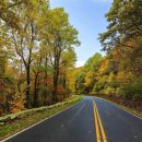 시선공인중개사사무소 이미지