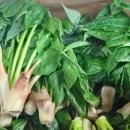 김숙농장 이미지