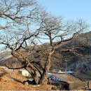 나무교역 이미지