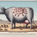 병양농장 이미지