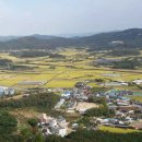 남예천농협 하나로마트 이미지