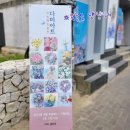 아름다운 꽃 그림 보타니컬아트 이미지