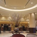 [삿포로] 삿포로 JR Tower Hotel Nikko Sapporo 체크인하고 오타루 가기 이미지