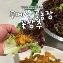 늘갓농장 | 당일수확 유기농꽃상추 추천 두메산골농장 꽃상추