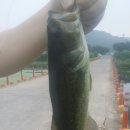 청도천7 이미지