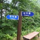 제 120차 충북 20대 명산 제천시 십자봉( 6월16일) 산행 접수 이미지