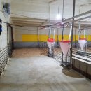 찬양축산 이미지