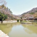 진도 해미랑 티스토리