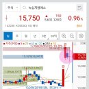 엠에스투어 이미지