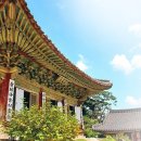 덕영이네 농장 이미지