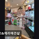 망고&체리 애견샵 | {부천, 강아지, 고양이, 애견미용, 추천!) 망고&amp;체리애견샵 부천 망고&amp;체리애견샵, 친절한 서비스