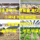 월평태양광발전소 이미지