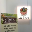 정글박스