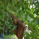 내검농장 이미지