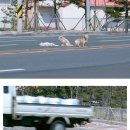 우정쉼터 이미지