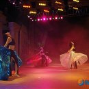 벨리댄스 이미지