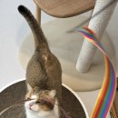 오뗄뒤샤 이미지