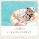 다온유아이 | 8개월 아기와 4박 5일 일본 오키나와 여행 준비 (항공권, 호텔, 렌트카, 경비)