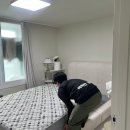청년케어 | 울산 매트리스 청소 싹싹한 청년 침대 케어 소독 추천 후기