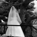 파티오-25 이미지