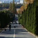 나주 산림 연구원-3 이미지