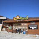 팜빌리지 이미지