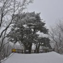 태백산맥길 이미지