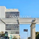(주)아난티코브 아난티펜트하우스 해운대 | 아난티 앳 부산 코브 주차 및 이용 팁, 투숙 없이 당일 방문으로 하이엔드 감성을 향유하는 법