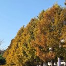 통영생태숲(입구) | 통영가볼만한곳 통영 REE세자트라숲 자연과 생태 환경 휴식이 함께 하는 힐링 장소