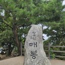 청계산로 241-1 | [청계산 막국수] 봉평막국수 : 등산 후 내돈내산 점심 후기