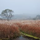 문의 상장리 고분 이미지