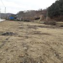 엄정면사무소 이미지