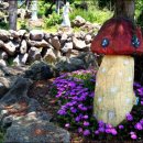 비체올린 이미지