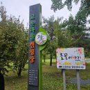 고운마을 캠핑장 우중 캠핑 방갈로 B5 / 비오는 날 고운사 산책