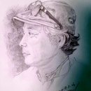 정연찬 | 12, 백두대간 인문기행 백두대간의 진달래