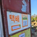 진홍농장 | 제주 서귀포 아이랑 감귤체험 미즈허팜 솔직 후기 (비오는날 가능 토끼도 있어요)