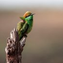 카젠 연희점 이미지