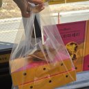 속초 중앙시장 맛집 에그타르트 도리스파티세리 후기