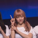 굿데이(goodday) 티스토리