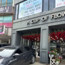 원봉초교 | 청주 용암동 꽃집 꽃배달해주는 꽃한잔 첫인사 환갑추천