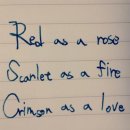 장미처럼 붉고, 불꽃처럼 붉고, 사랑처럼 붉은 이미지