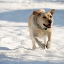 우성동물병원 이미지