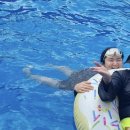 홍산관광농원 이미지